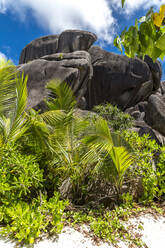 Seychellen, Niedriger Blickwinkel auf Granitfelsen bei Source dArgent - MABF00552