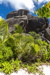 Seychelles, Low angle view of granite boulders at Source dArgent - MABF00552