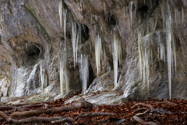 Eisformationen in der Mazarna-Höhle im Velka-Fatra-Nationalpark. - CAVF75425