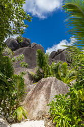 Seychelles, Granite boulders at Source dArgent - MABF00559