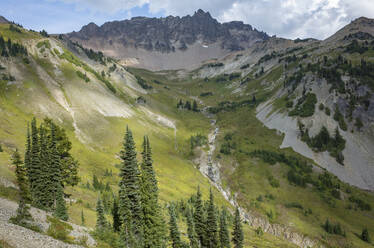 Blick auf eine alpine Wiese und den Gilbert Peak, entlang des Pacific Crest Trail, Goat Rocks Wilderness, Washington - MINF13894