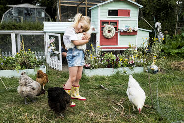Blond girl standing in a garden in front of hen house, holding white chicken. - MINF13955