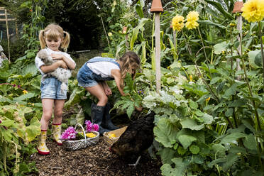 Zwei Mädchen stehen in einem Garten, halten Hühner und pflücken Gemüse. - MINF13969