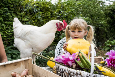 Blond girl holding yellow gourd and white chicken in a garden. - MINF13975