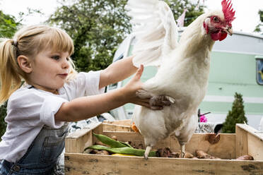 Close up of blond girl holding white chicken flapping it's wings. - MINF13977