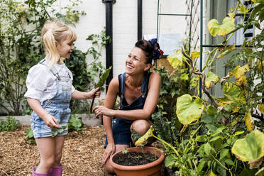 Lächelnde Frau und Mädchen in einem Garten, die frisches Gemüse ernten. - MINF13984