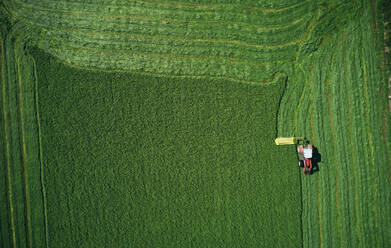 Landwirtschaftliches Fahrzeug bei der Arbeit auf grünem Feld beim Furchen von Weizen - CAVF75492