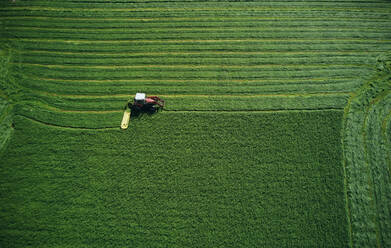 Working tractor making level harrows on bright field - CAVF75493