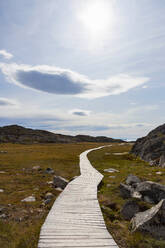 Sonniger Wanderweg in abgelegener Landschaft Grönlands - HOXF05106