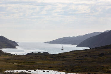 Panoramaschiff in der sonnigen, abgelegenen Diskobucht in Westgrönland - HOXF05134