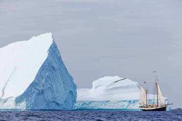 Schiff fährt an majestätischen Eisbergen auf dem Atlantik vorbei Grönland - HOXF05136