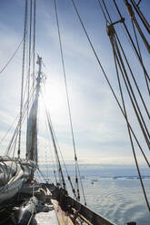 Ship sailing on sunny Atlantic Ocean Greenland - HOXF05149