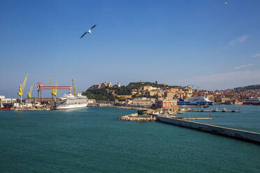 Italien, Provinz Ancona, Ancona, Möwe fliegt gegen klaren Himmel über der Küstenstadt - MAMF01191