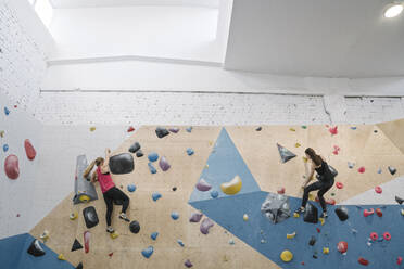 Zwei Frauen klettern in einer Kletterhalle an der Wand - AHSF01914