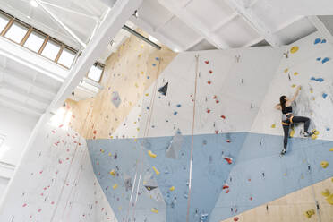 Frau klettert in einer Kletterhalle an der Wand - AHSF01923