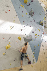 Mann ohne Hemd klettert in einer Kletterhalle an der Wand - AHSF01942