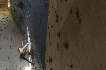 Mann ohne Hemd klettert in einer Kletterhalle an der Wand - AHSF01944