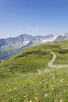 Schweiz, Kanton St. Gallen, Glarner Alpen, Panoramawanderweg in der Tektonikarena Sardona - GWF06473