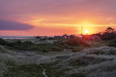 Sunset at the coast, Kattegat, Sardal nature reserve, Halland, Sweden - LBF02898