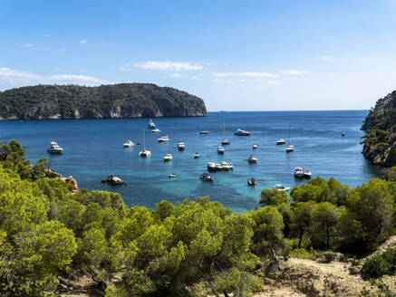 Spanien, Balearen, Camp de Mar, Verschiedene Boote schwimmen in der Bucht der Insel Mallorca - AMF07895