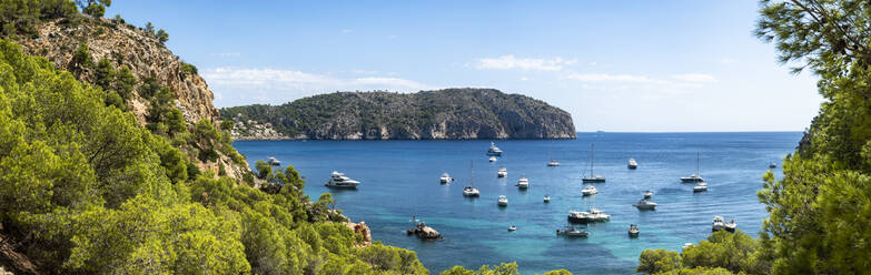 Spain, Balearic Islands, Camp de Mar, Panorama of various boats floating in bay of Mallorca island - AMF07896