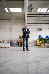 Businessman standing in a factory - DIGF09310
