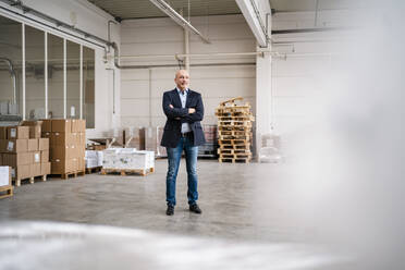 Businessman standing in a factory - DIGF09311
