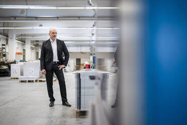 Businessman standing in a factory - DIGF09315