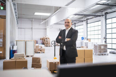 Portrait of a confident businessman in a factory - DIGF09319