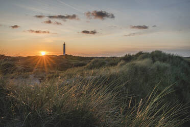 Dänemark, Hvide Sande, Grasbewachsene Küste bei Sonnenuntergang mit Leuchtturm im Hintergrund - KEBF01457