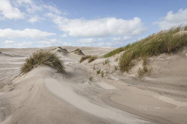 Denmark, Skagen, Sand of migrating Rabjerg Mile dune - KEBF01473