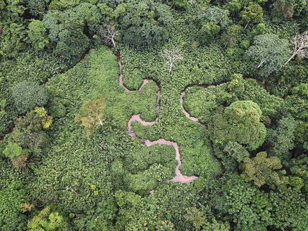 Gabun, Mikongo, Luftaufnahme eines gewundenen Flusses in grünem, üppigem Dschungel - VEGF01597