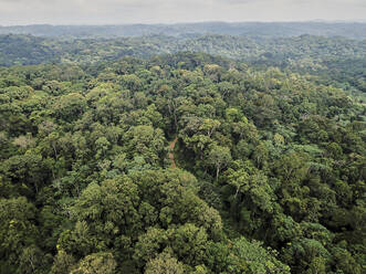 Gabun, Luftaufnahme des üppig grünen Dschungels des Lope-Nationalparks - VEGF01599
