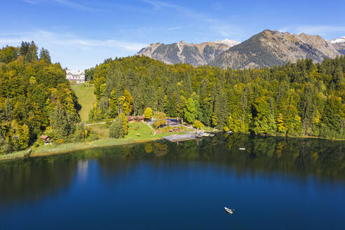 Deutschland, Bayern, Oberstdorf, Drohnenansicht des bewaldeten Ufers des Freibergsees im Herbst - SIEF09582