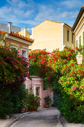 Straße mit vielen Blumen im Stadtteil Plaka in Athen, Griechenland. - CAVF75549