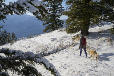 Weibliche Wanderung durch Schnee mit Hund - CAVF75568