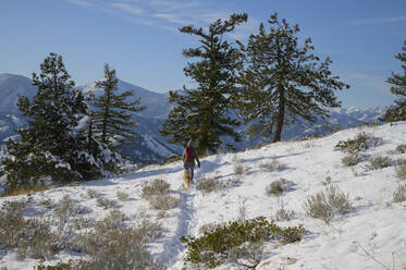 Weiblich Wandern durch die schneebedeckten Berge mit Hund - CAVF75570