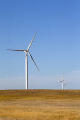 Windturbinen in Colorado vor blauem Himmel - CAVF75607