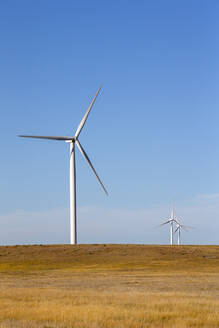 Windturbinen in Colorado vor blauem Himmel - CAVF75607