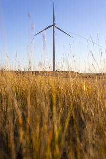 Windturbine in einem Feld gegen blauen Himmel - CAVF75614