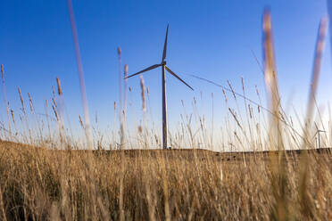 Wind Turbine in a field against blue sky - CAVF75615