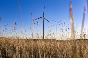 Windturbine in einem Feld gegen blauen Himmel - CAVF75615