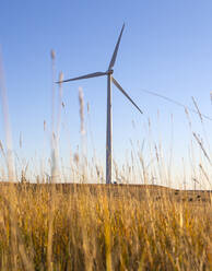 Wind Turbine in Colorado against blue sky - CAVF75616