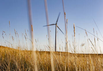 Wind Turbine in a field against blue sky - CAVF75617