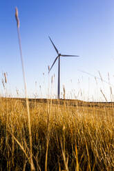 Wind Turbine in a field against blue sky - CAVF75618