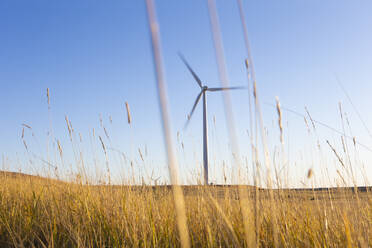 Wind Turbine in a field against blue sky - CAVF75619