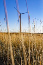 Wind Turbine in field against blue sky - CAVF75622