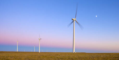 Windturbinen auf einem Feld vor blauem Himmel in der Abenddämmerung - CAVF75629