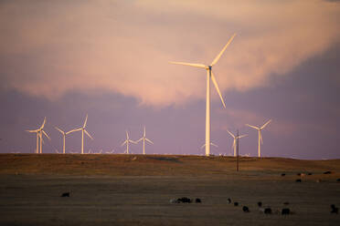 Windturbinen im Feld gegen blauen bewölkten Himmel in der Abenddämmerung - CAVF75638