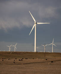 Windturbinen im Feld gegen bewölkten blauen Himmel bei Sonnenuntergang - CAVF75640